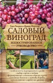 Садовый виноград. Подробная информация, цены, характеристики, описание.