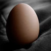 Всемирный день яйца